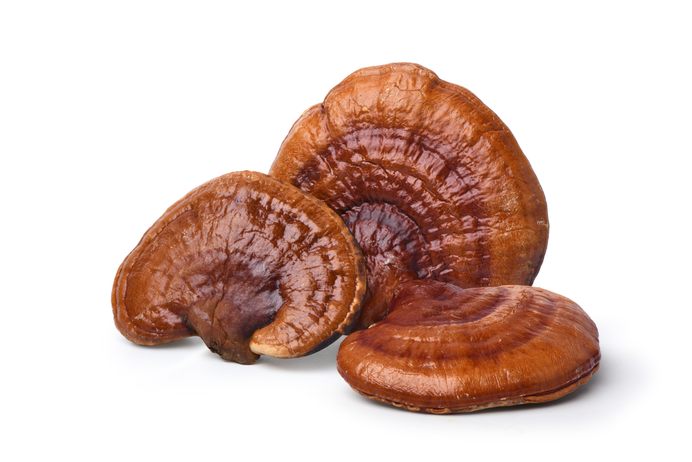 Rode,Reishi,Paddestoel,Geïsoleerd,Op,Witte,Achtergrond.,Knippen,Pad.