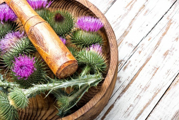 De lente is goed voor de lever, detox voor het lichaam
