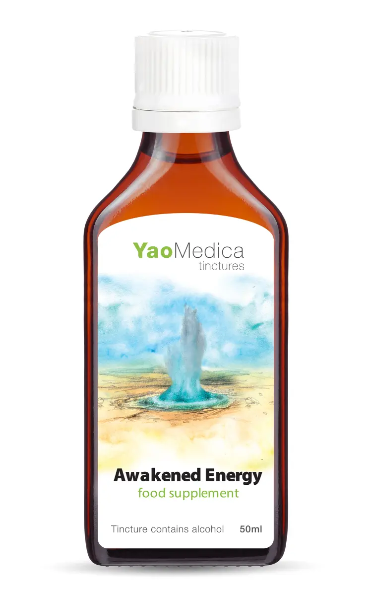 006 - Probuzení energie