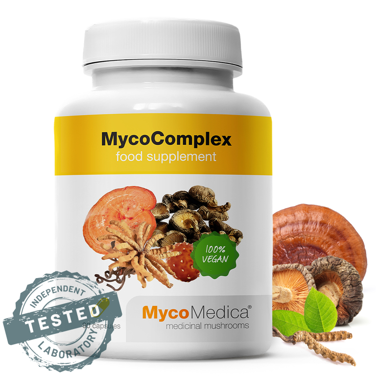 mycocomplex-detail-s-razitkem-kopie.jpg