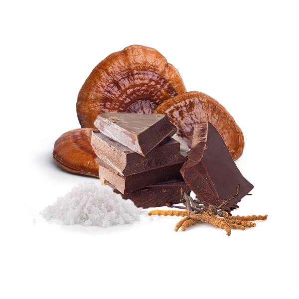 Zimn okolda s Cordycepsem, Reishi a sol