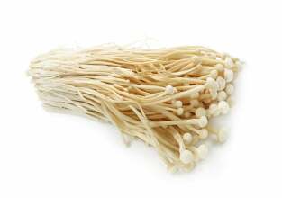 enoki-paddenstoelen